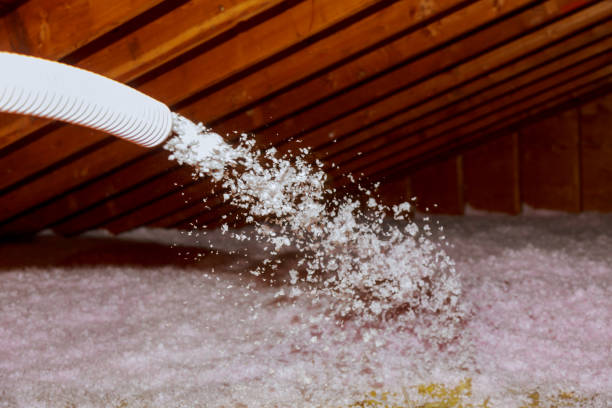 Best Commercial Insulation in South Dennis, MA